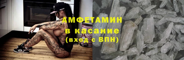 крисы Мегион