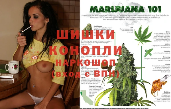 крисы Мегион