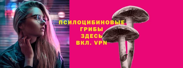 крисы Мегион