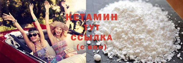 крисы Мегион