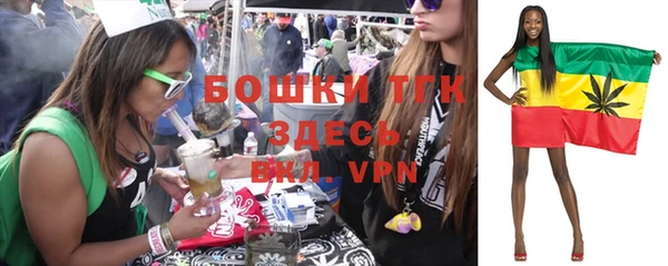 крисы Мегион