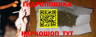ПСИЛОЦИБИНОВЫЕ ГРИБЫ Гусиноозёрск
