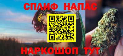 мяу мяу мука Беслан