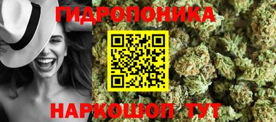 ПСИЛОЦИБИНОВЫЕ ГРИБЫ Гусиноозёрск