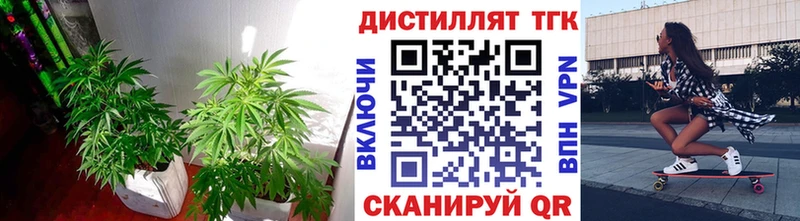 Дистиллят ТГК THC oil  наркошоп  Армавир 