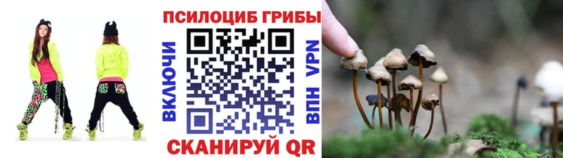 Галлюциногенные грибы GOLDEN TEACHER  продажа наркотиков  Армавир 