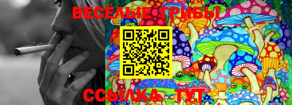 Галлюциногенные грибы мицелий Армавир