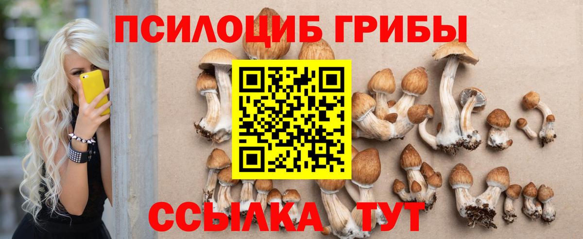 Галлюциногенные грибы мухоморы  дарнет шоп  Армавир  Вход с VPN  Галлюциногенные грибы мицелий 
